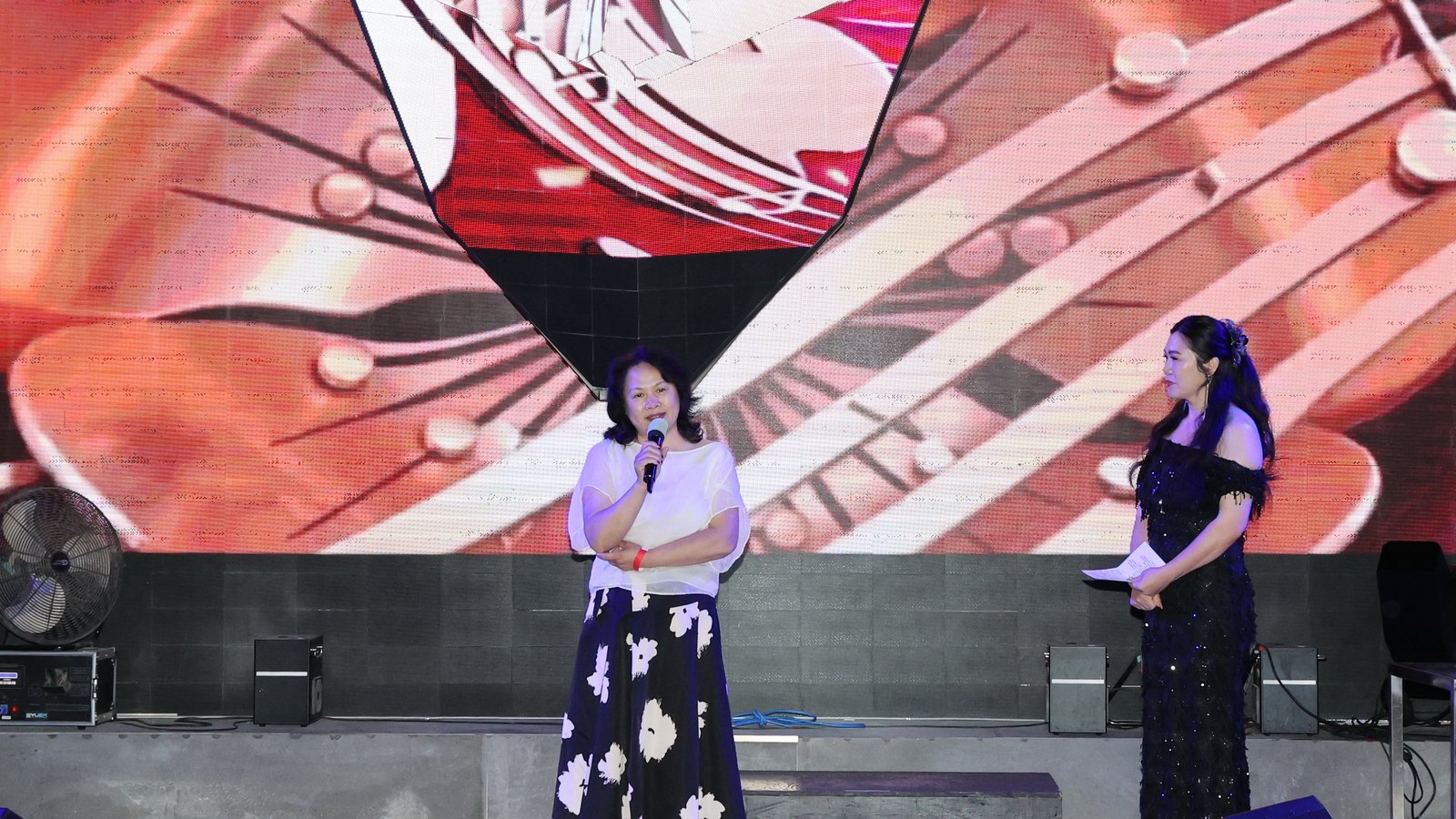 Summer Concert Live Photo 25
