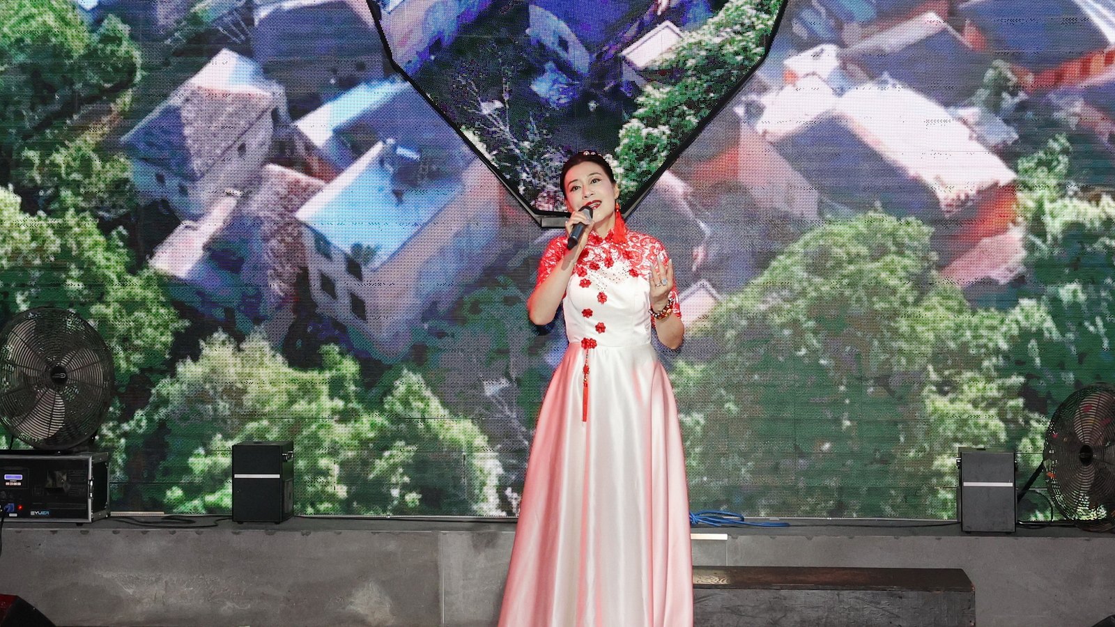 Summer Concert Live Photo 54